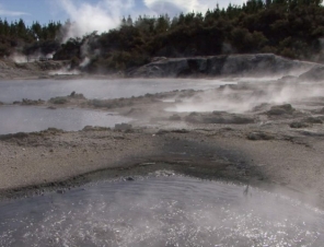 Hells Gate steaming lakes